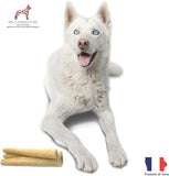 Iowa Cow Tails: Single Ingredient Dog Chews - 6 Inch Regular (pack of 10)