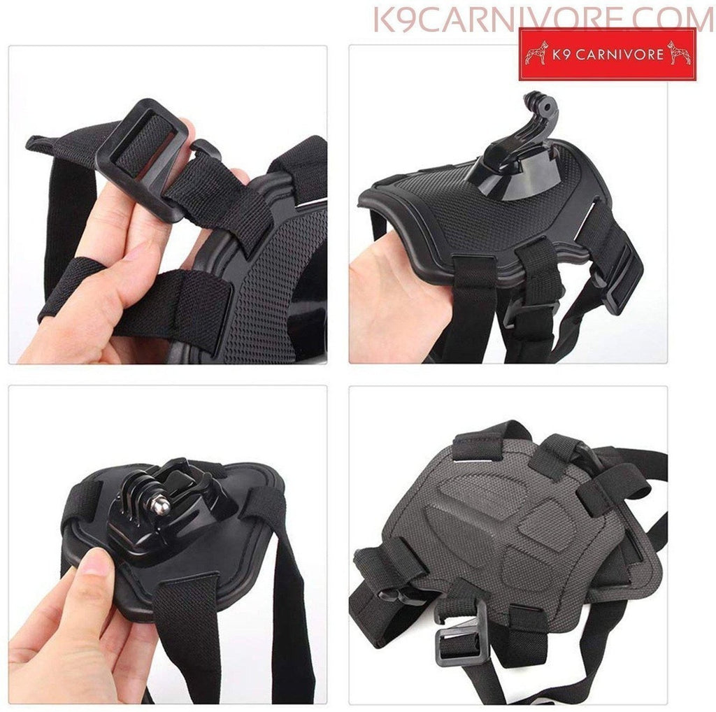 GoPro Dog Camera Mount|Capture your Pet Moments – K9 CARNIVORE