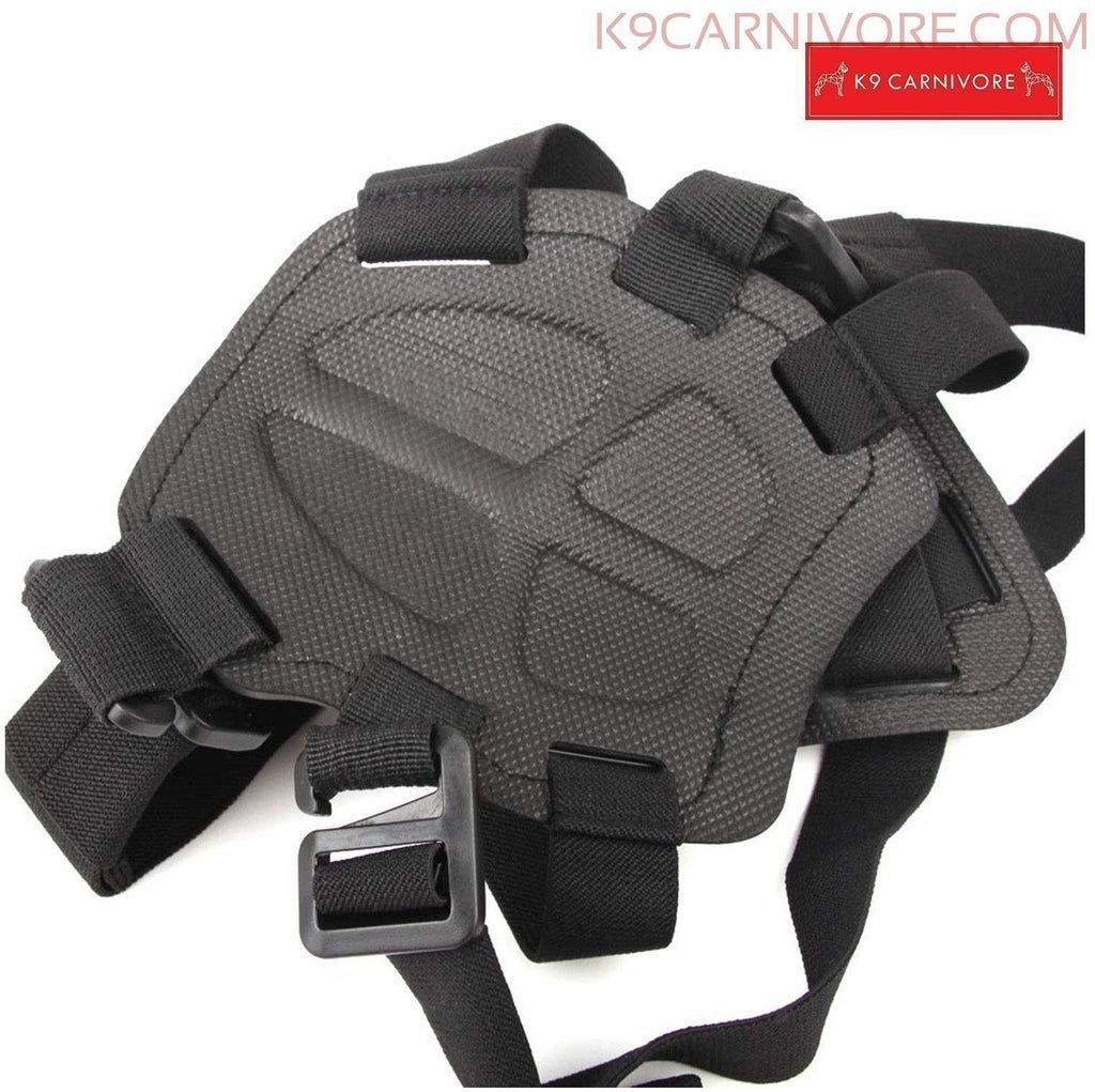 GoPro Dog Camera Mount|Capture your Pet Moments – K9 CARNIVORE