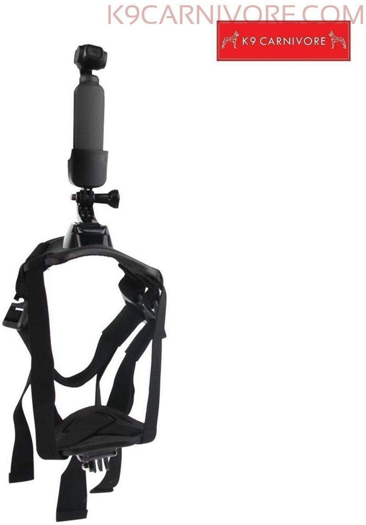 GoPro Dog Camera Mount|Capture your Pet Moments – K9 CARNIVORE