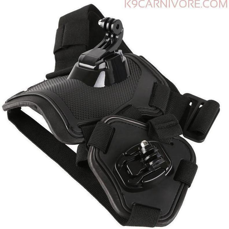 GoPro Dog Camera Mount|Capture your Pet Moments – K9 CARNIVORE
