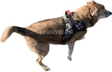 Camouflage Soft Vest Dog Harness