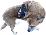 adjustable dog leash