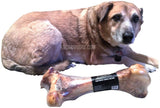 Healthy chewing dino bone treat for medium to large dogs.
