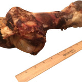 K9 Carnivore dino bone, free from artificial ingredients