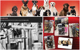 K9 Carnivore premium dog treat products
