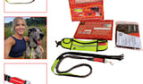 Shock absorbing bungee hands free leash